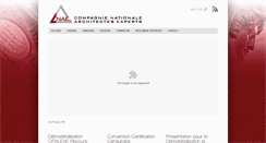 Desktop Screenshot of cnaejja.org